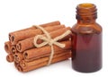 Bunch of some fresh aromatic cinnamon with essential oil