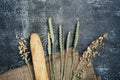 Bunch of spikelets of wheat, baguette and bakery ingredients on dark wooden background. Copy space