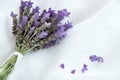 Bunch Sprig Bouquet Lavender Lavandula Augustifolia