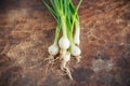 Bunch of spring onions on wooden Royalty Free Stock Photo