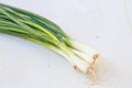 Bunch of spring onions on wooden Royalty Free Stock Photo