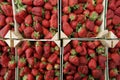 Bunch of Strawberries Royalty Free Stock Photo