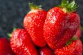 Bunch of strawberries. Wet ripe strawberries on a black background close-up. Red berries with drops of water. Selective focus Royalty Free Stock Photo