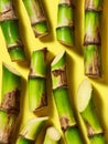 A bunch of sugarcane stalks on a yellow background Royalty Free Stock Photo