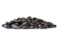 A bunch of sunflower seeds isolated on the white Royalty Free Stock Photo