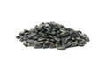 Bunch of sunflower seeds isolated on background Royalty Free Stock Photo
