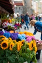 Bunch of sunflowers on the famous flower market at the Viru Gates in the Old Town of Tallinn, Estonia Royalty Free Stock Photo