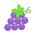 Bunch of sweet berries, icon of grapes, natural antioxidant fruit