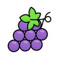 Bunch of sweet berries, icon of grapes, natural antioxidant fruit