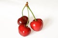 Bunch of sweet cherries on a white background Royalty Free Stock Photo