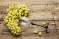 Bunch of sweet green seedless grapes variety Royalty Free Stock Photo