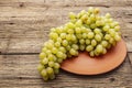 Bunch of sweet green seedless grapes variety Royalty Free Stock Photo