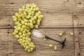 Bunch of sweet green seedless grapes variety Royalty Free Stock Photo