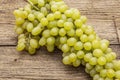 Bunch of sweet green seedless grapes variety Royalty Free Stock Photo