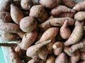 Bunch of sweet potato at farmer market Kota Kinabalu,Sabah. Royalty Free Stock Photo