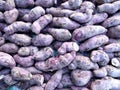 Bunch of sweet potato