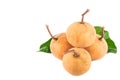 Bunch of sweet santol fruits and santol leaf on white background planting agriculture food isolated