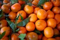 Bunch of Tangerines Royalty Free Stock Photo