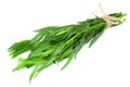 Bunch of tarragon leaves isolated on white background. Artemisia dracunculus