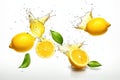 Lemons falling on white surface, isolated on white background. Royalty Free Stock Photo