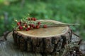 Bunch with tasty wild strawberries on wooden stump outdoors