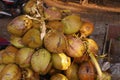 Bunch of tender coconuts Cocos nucifera for sale in a roadside shop in kerala