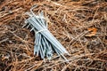 Bunch of tent pegs Royalty Free Stock Photo