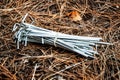 Bunch of tent pegs Royalty Free Stock Photo