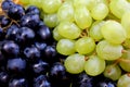 Bunch texture fresh green and black grapes Royalty Free Stock Photo