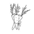 A bunch of three carrots. Black and white illustration on a white background.