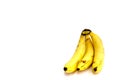 Bunch of three fresh bananas on white background