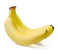 A bunch of three ripe bananas. Close-up. White isolated background. Royalty Free Stock Photo