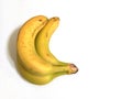 bunch of three tropical sweet ripe Ecuadorian bananas isolated on a white background with copyspace