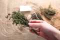 Bunch of thyme in female hand Royalty Free Stock Photo