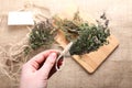 Bunch of thyme in female hand Royalty Free Stock Photo