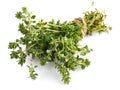 Bunch thyme with flowers. Fresh spicy herb.