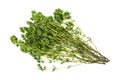 Bunch of thyme twigs isolated on white background