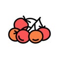 bunch tomato color icon vector illustration