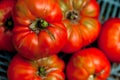 A compositionn of Tomatoes Royalty Free Stock Photo