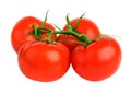 Bunch tomatoes Royalty Free Stock Photo