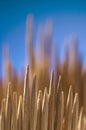 A bunch of tooth picks up close. Royalty Free Stock Photo