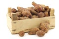 Bunch of topinambur roots (helianthus tuberosus) in a wooden crate