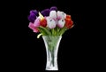 Bunch of tulip flower in the glasspot1