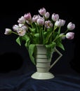 Bunch of tulips in an art deco vase with black background Royalty Free Stock Photo