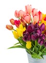 Bunch of tulips flowers close up Royalty Free Stock Photo