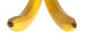 A bunch of two yellow bananas. Bright fresh fruits. Isolated photo for your design. Isolated on a white background Royalty Free Stock Photo