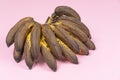 Bunch of ugly overripe spoiled mini bananas on a pale pink background.