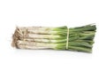 Bunch of uncooked fresh calÃÂ§ots Royalty Free Stock Photo