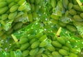 Bunch of unripe green grapes. Close up unripe texture grape full frame. 3D spiral decorative element. Royalty Free Stock Photo