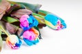 Bunch of unusual multi colored tulips Royalty Free Stock Photo
